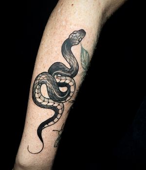 Unique black and gray snake tattoo by Ben Twentyman, featuring intricate details and stunning shading.