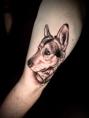 Unique black and gray dotwork design of a loyal German Sheppard, expertly executed by Ben Twentyman.