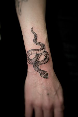 Snake 🐍 