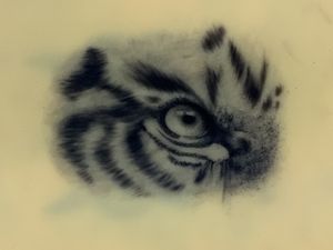 Diseño de ojo de tigre en piel sintética en las prácticas de la EOMTP