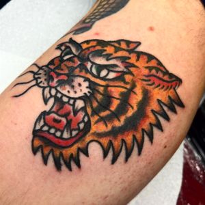 Bold and fierce traditional tiger tattoo, expertly done by Alessandro Lanzafame. Perfect for those who crave a classic and powerful design.