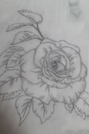 Hey guys I need some opinions on this, I'm a 19 year old girl trying to become an artist and would really like some feedback thanks