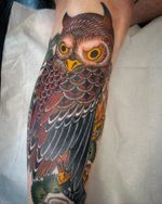 Owl 