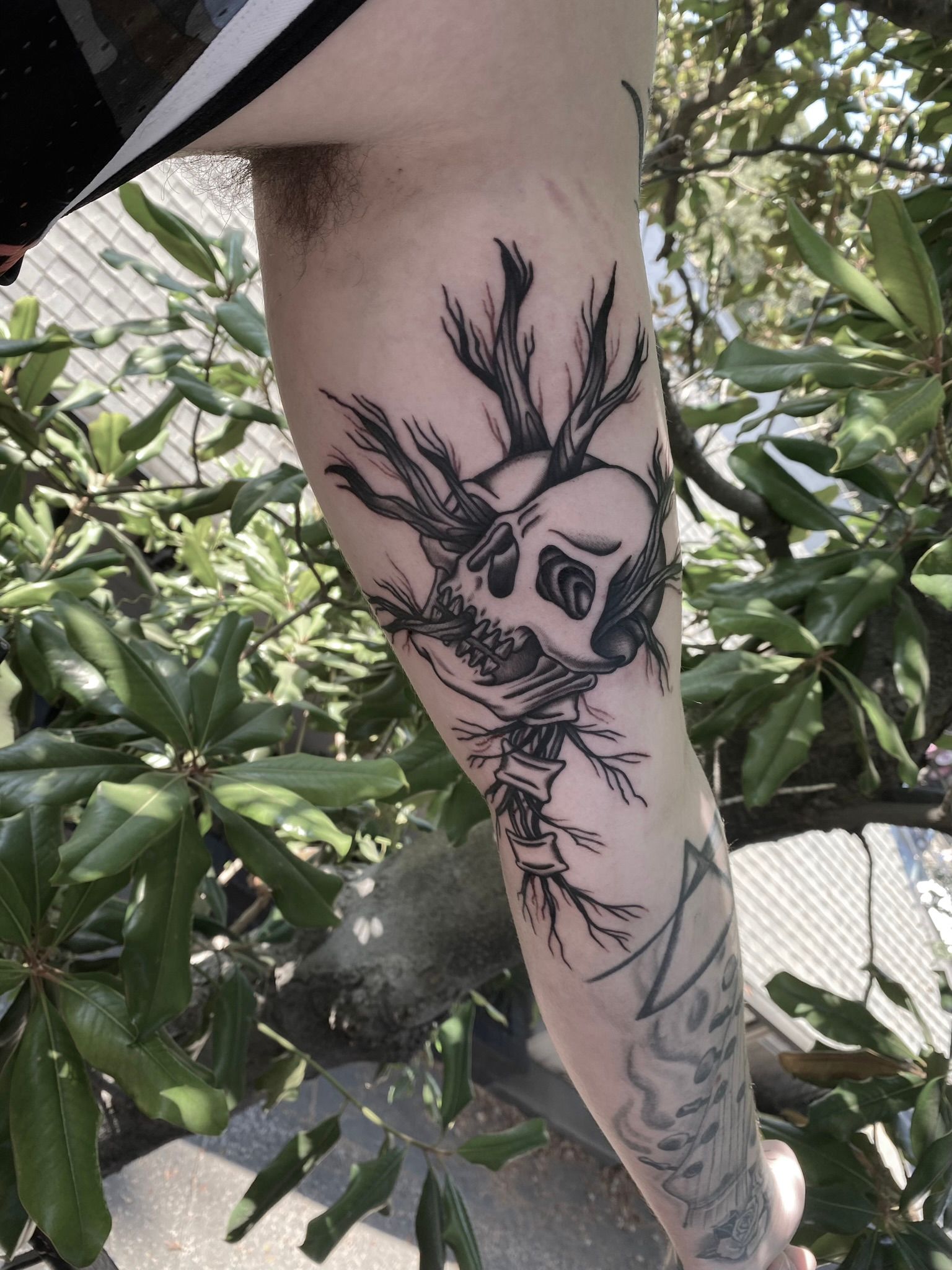 Tattoos ivy auf INKsearch