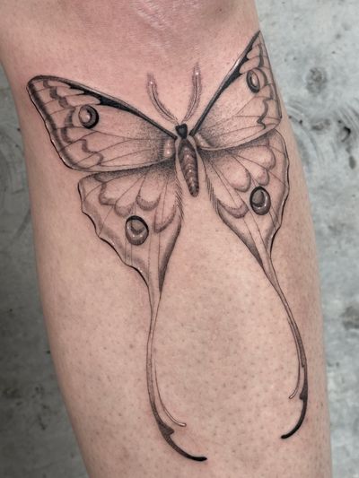 Experience the delicate artistry of dotwork and fine line tattoos with this stunning illustrative butterfly design by Laura May.