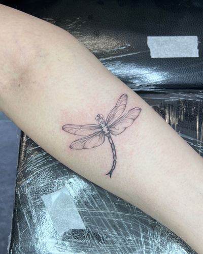 Elegant dragonfly design by talented artist Hannah Senoj, capturing the essence of nature in a stunning illustrative style.
