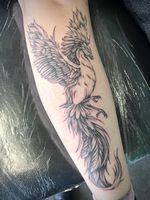 Phoenix ; the fire bird of mythical creatures 🔥