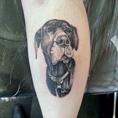 Get a stunning dotwork dog portrait tattoo by Hannah Senoj, beautifully combining realism and illustrative styles.