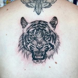 Capture the fierce beauty of a tiger with this stunning realism and illustrative style tattoo by the talented artist, Hannah Senoj.