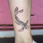 Single needle koi 🐠 