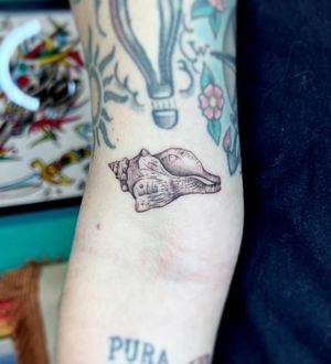 Illustrative tattoo by Hannah Senoj featuring a beautiful conch shell motif, adding a touch of whimsy to your body art.