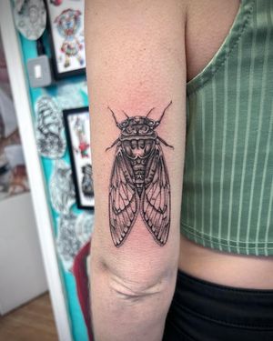 Capture the beauty of nature with this stunning black and gray cicada tattoo, expertly done in a realistic and illustrative style by artist Hannah Senoj.