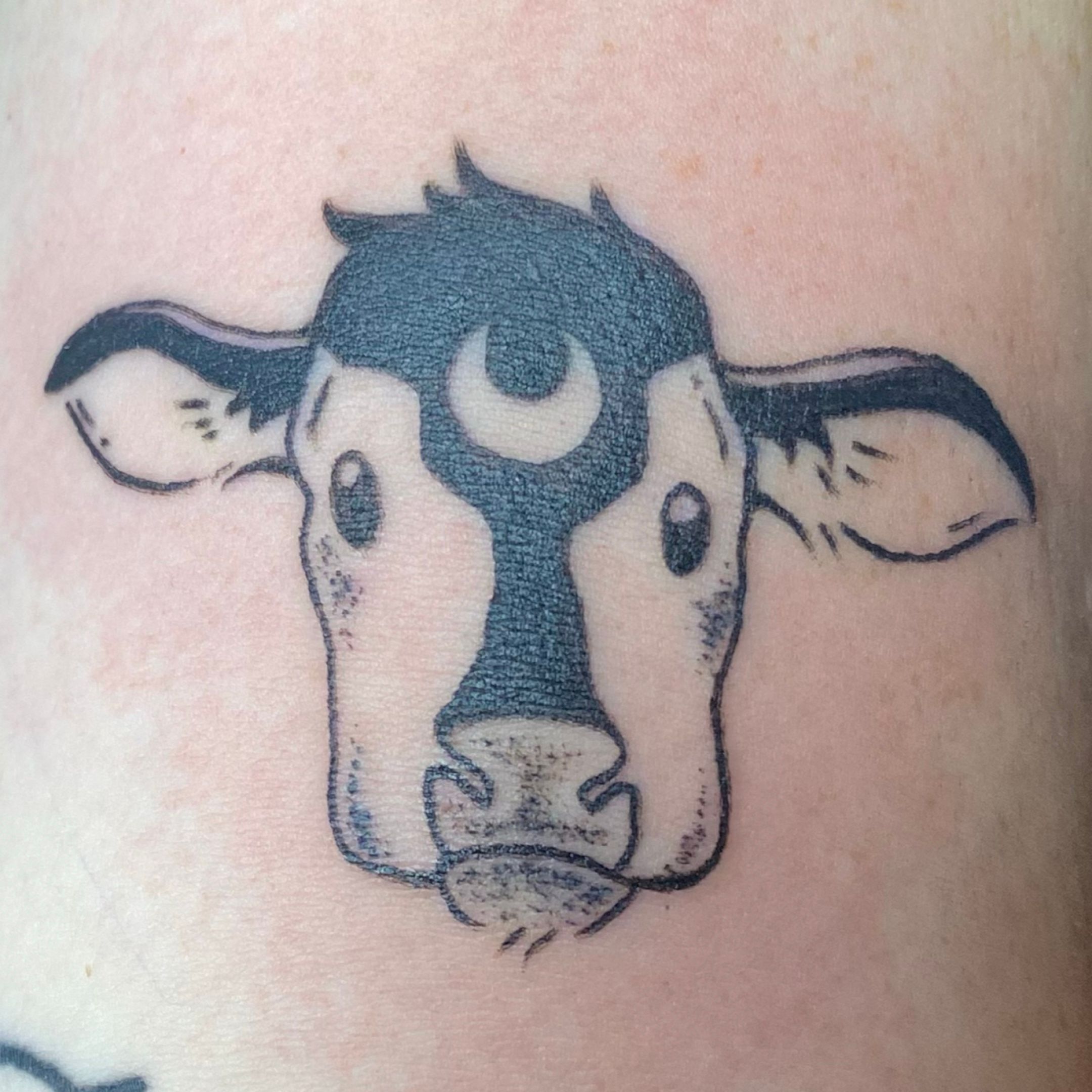 Cow head female symbol of 2021 tribal tattoo.... - Stock Illustration  [67380164] - PIXTA