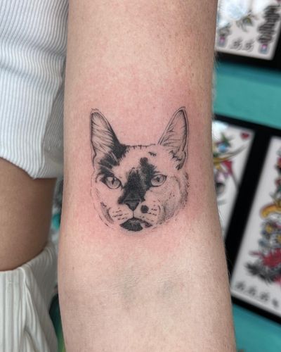 Capture your beloved pet's essence with a stunningly detailed cat portrait tattoo, expertly crafted by Hannah Senoj in a realistic and illustrative style.