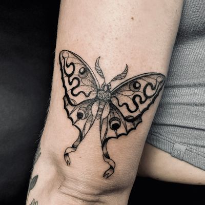Experience the intricate beauty of dotwork with this stunning moth tattoo design by the talented artist Jenny Dubet.