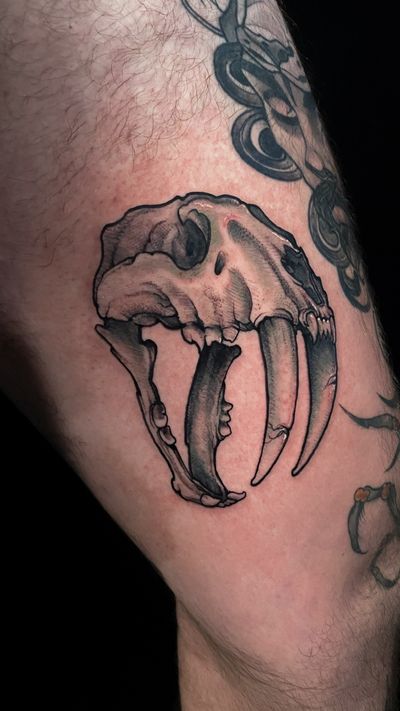 Stunning neo-traditional illustration of a skull with sabertooth details by Jethro Wood. A bold and unique design.
