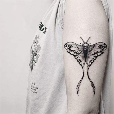 Luna moth on the arm