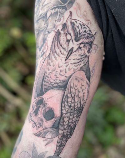 Owl and skull