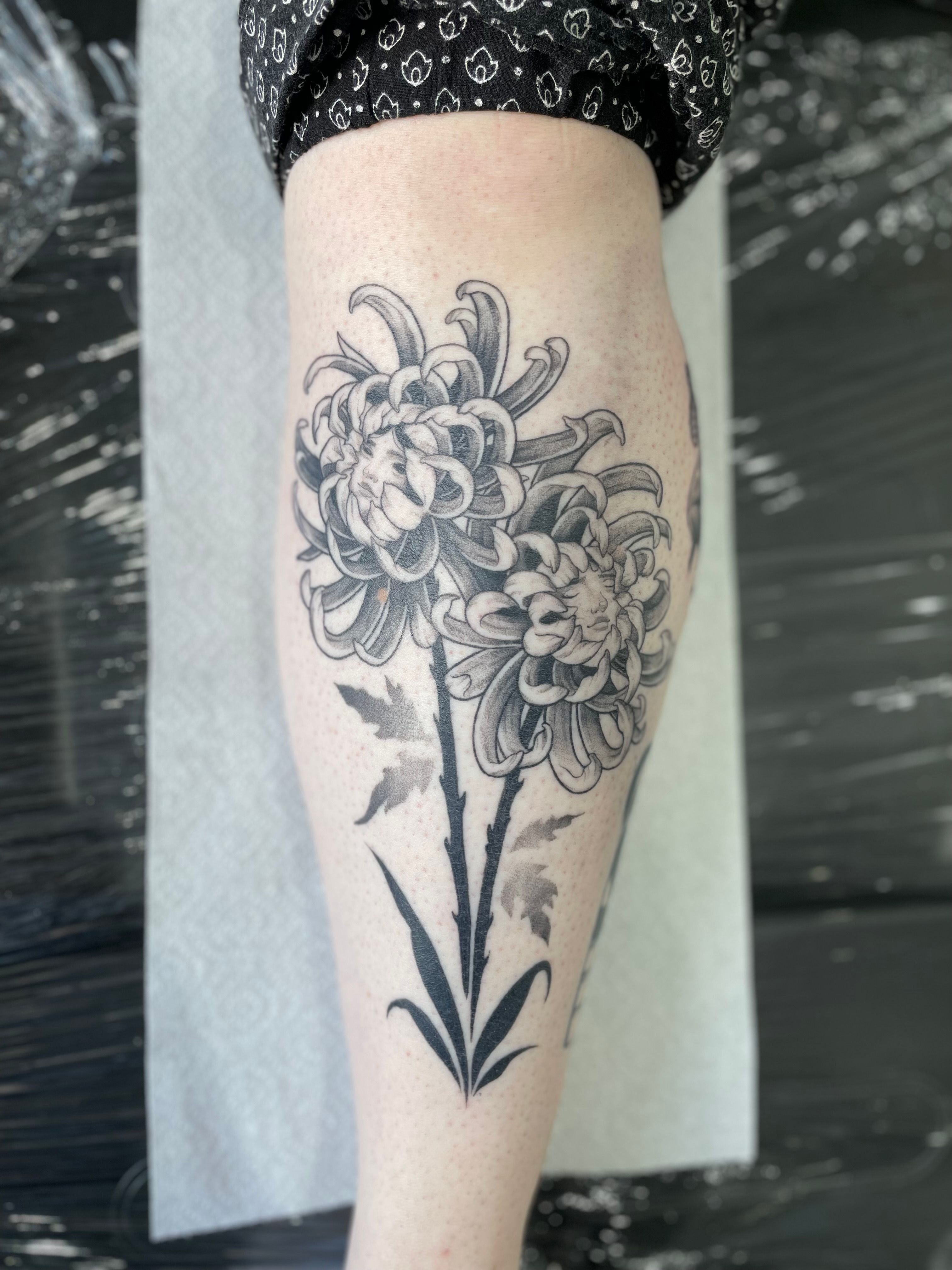 Fresh white chrysanthemum WIP by the lovely Dia Moeller at Boston Tattoo  Company, Medford MA : r/tattoos