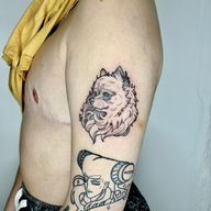 Pomeranian Portrait