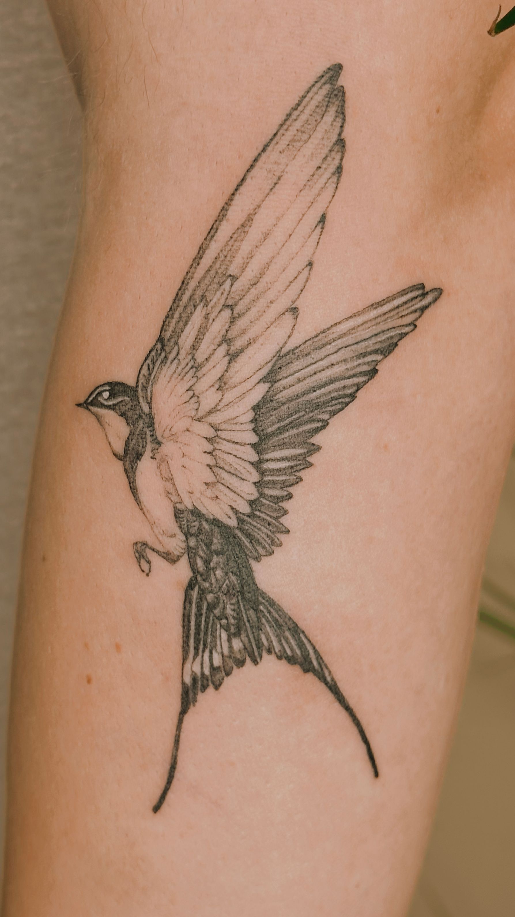 105 Mind-Blowing Swallow Tattoos And Their Meaning - AuthorityTattoo
