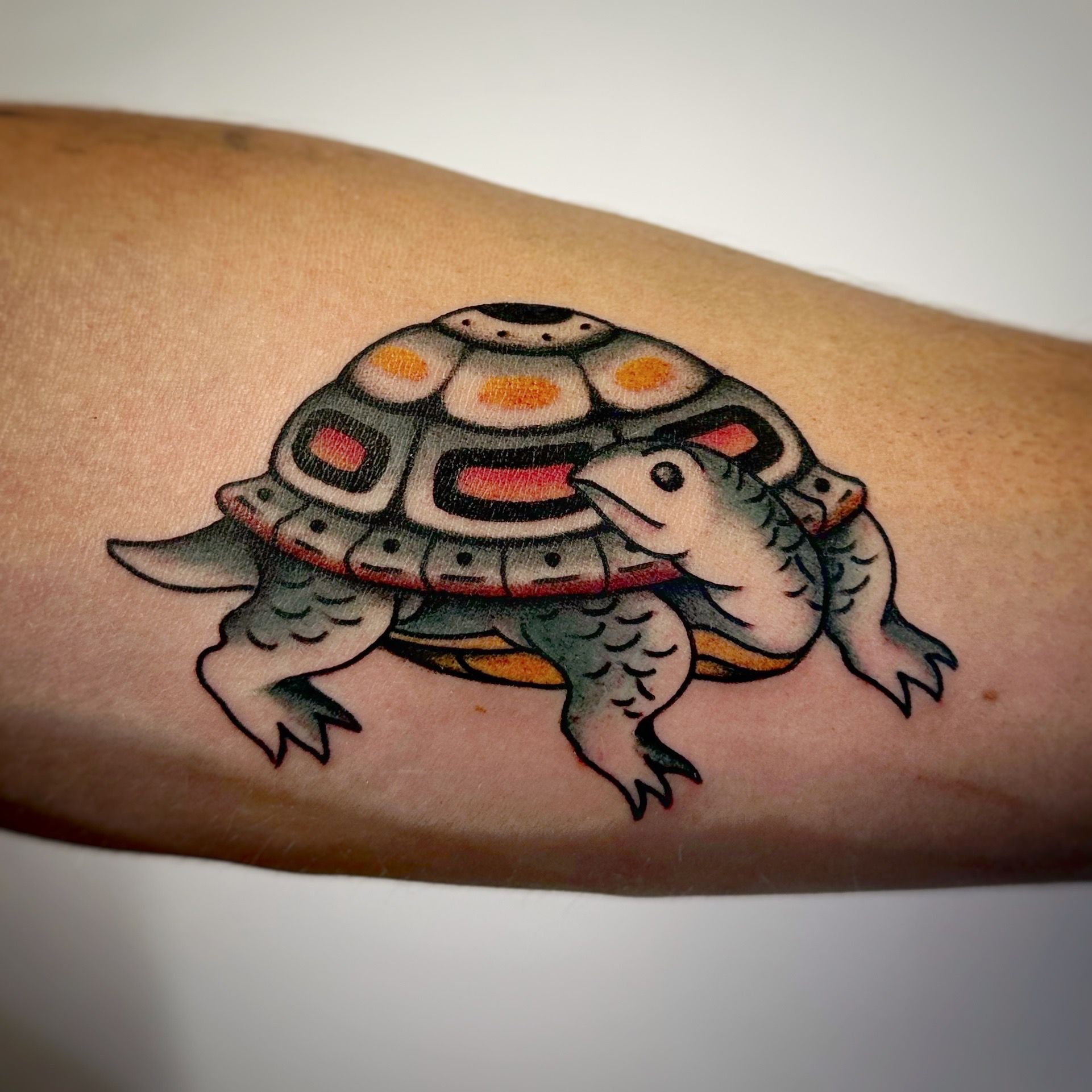 tortoise. tattoo sketch by AsikaArt on DeviantArt