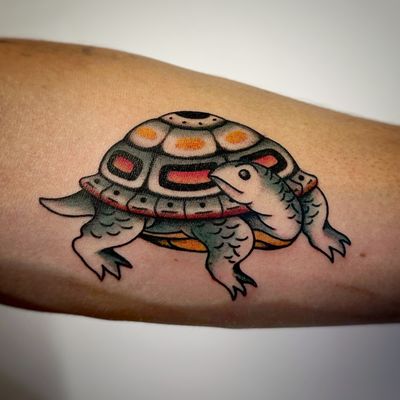 Traditional turtle