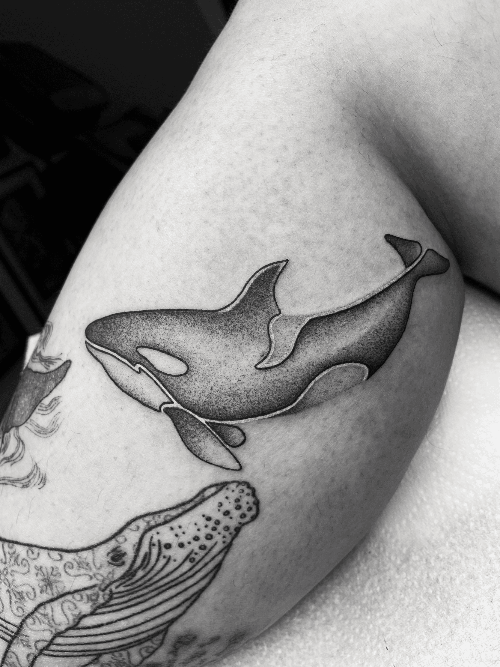 Lynn Louise Tattoo - Lil' Orca aka Killer Whale! Super fun! ••• #realistic  #blackandgrey #orca #killerwhale #tattoo #gonewest #stavanger | Facebook