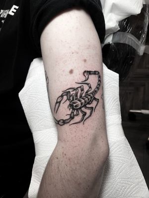 Get inked with a unique scorpion design by Barney Coles blending traditional and dotwork styles. Stand out with this striking tattoo.