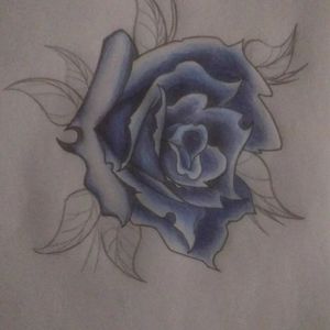 Roses sketch 