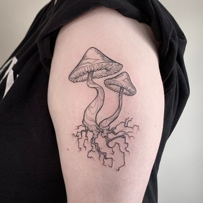 Flash mushroom