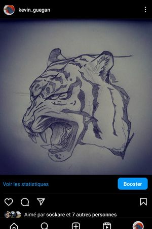 Tiger sketch#tiger