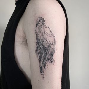 Flash dark illustrative creepy jacana bird on the arm