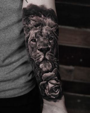 Incredible black and gray tattoo featuring a detailed lion and elegant rose, created by tattoo artist Milan Boros.