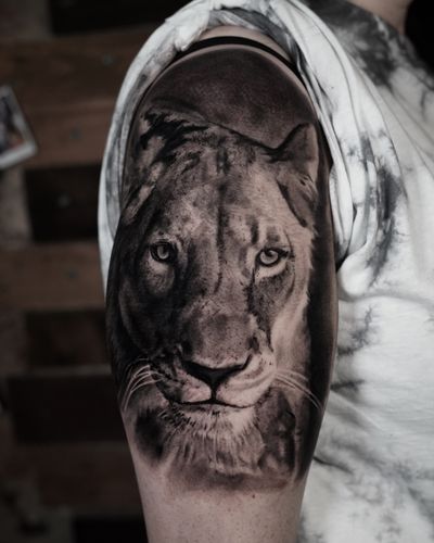 Get mesmerized by the stunning black and gray lion and lioness tattoo by renowned artist Milan Boros.