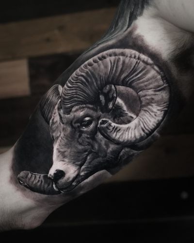 Experience the artistry of Milan Boros with this stunning black and gray tattoo featuring a detailed goat and ram design.