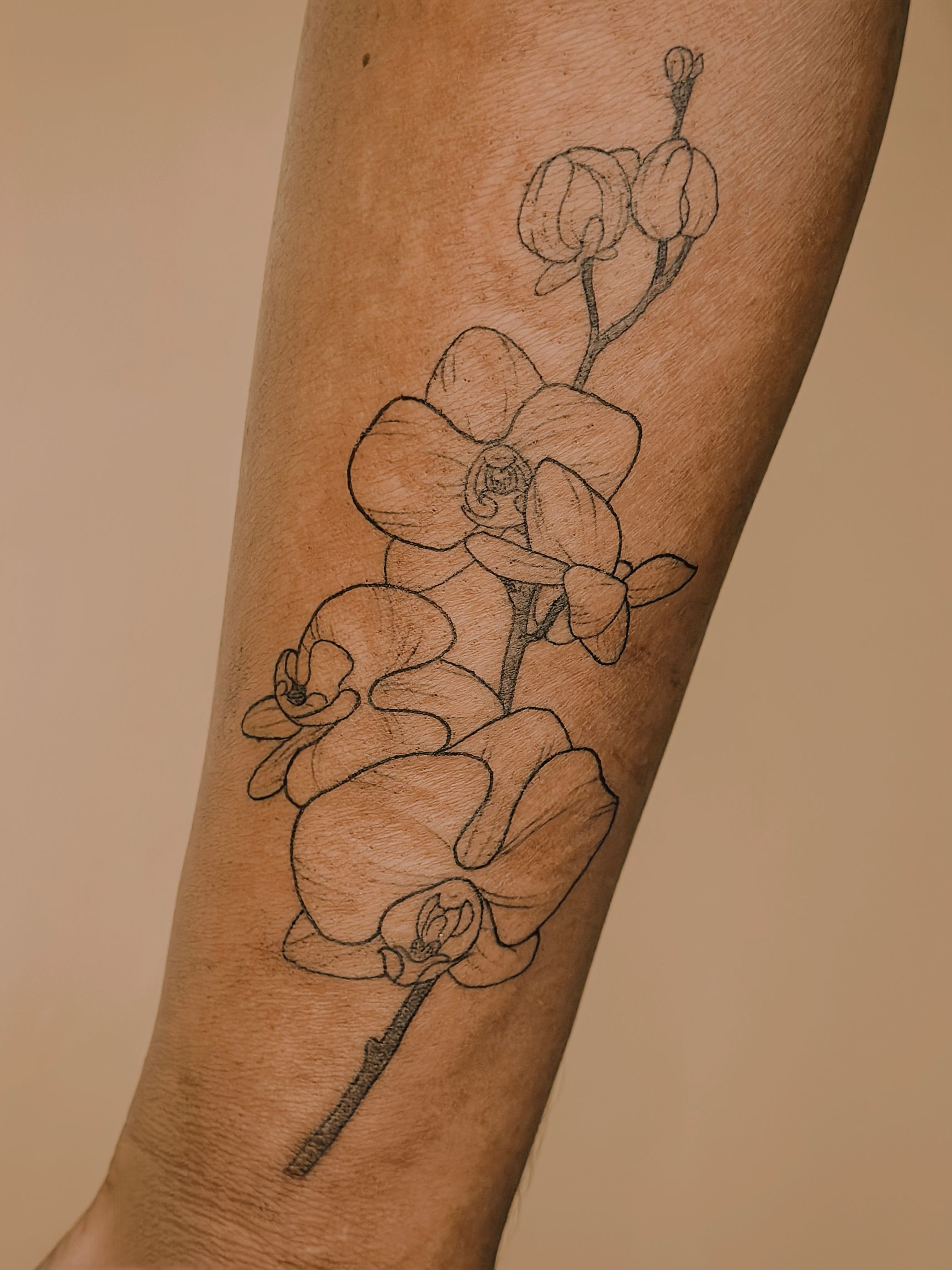 80+ Orchid Tattoos: Meanings, Tattoo Designs & Ideas | Tatuagens  aleatórias, Tatoo, Boas ideias para tatuagem