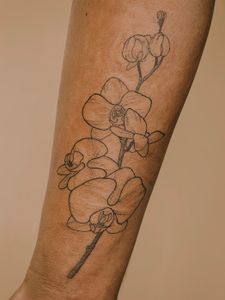 Orchid Branch