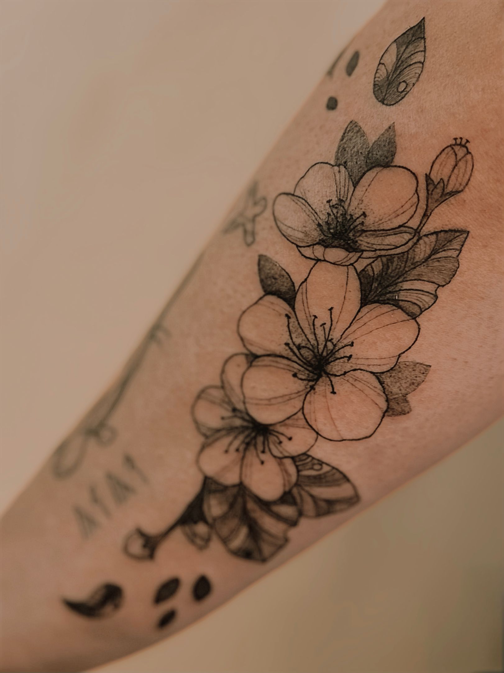 Cherry Blossom Tattoo Design Black and White Artful Flower Digital Print  for Tattoo Inspiration - Etsy Sweden