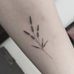 A dainty and intricate fine line floral tattoo featuring a lavender sprig design by Tom Boxell.