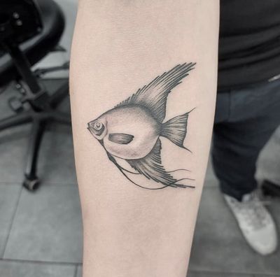 Tom Boxell creates an illustrative masterpiece with detailed shading and intricate lines in this stunning fish tattoo.