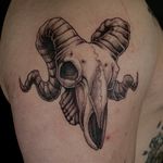 Ram Skull