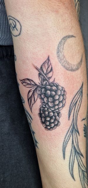 Fine line blackberries 