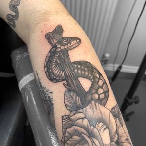 Asclepius Snake 🐍 