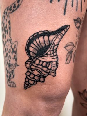 Celebrate the beauty of the ocean with this stunning illustrative conch shell tattoo by renowned artist Jack Howard.