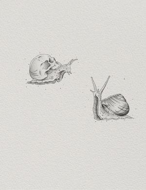 Fine line snail designs 