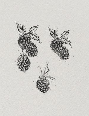 Fine line blackberries 