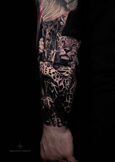 - Leopard - - Big cat climbing a tree done over one day session • https://www.roudolfdimovart.com/