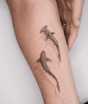 sharks tattoo