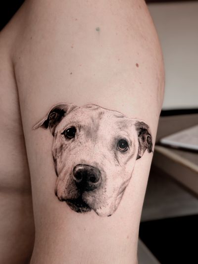 Capture the essence of your beloved pet with a stunning black and gray portrait tattoo by Carolina Feodorov. A timeless tribute to your furry friend.